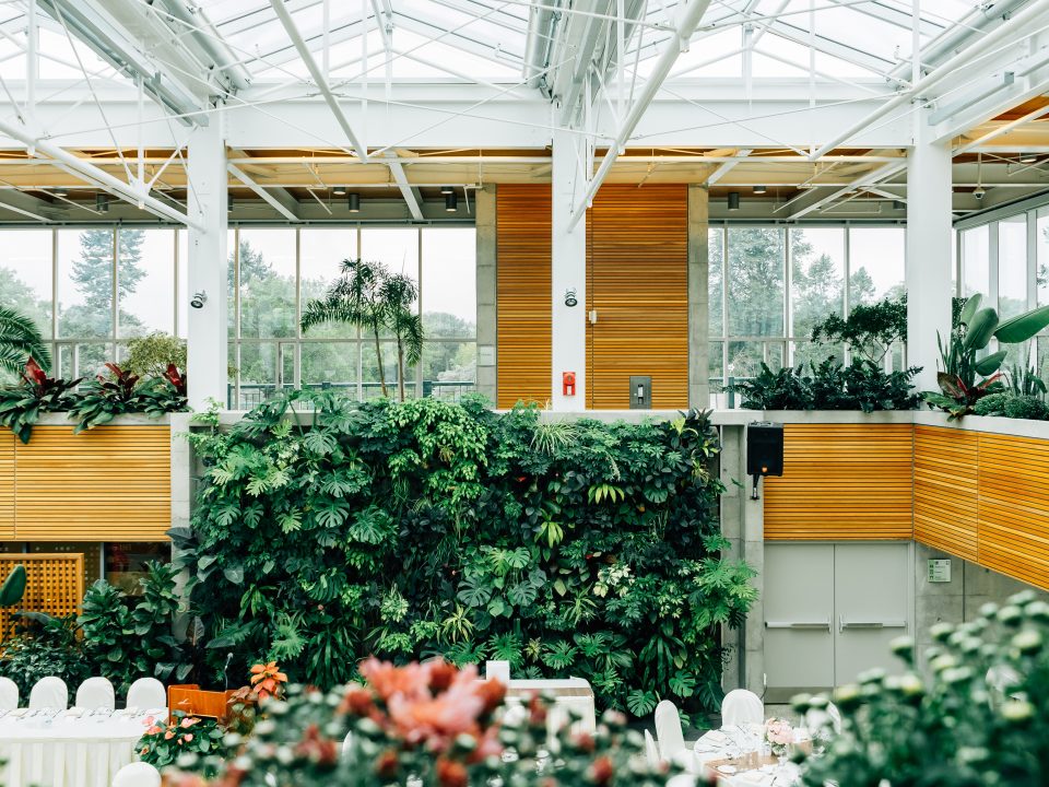 office plants and living walls