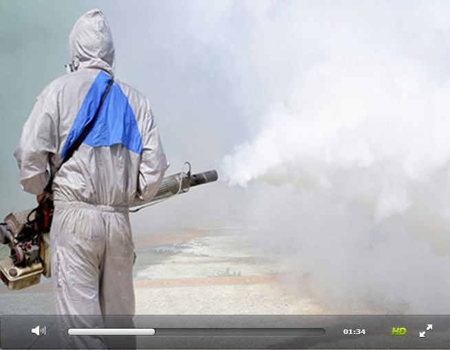 Guardian Against Bed Bugs in the City