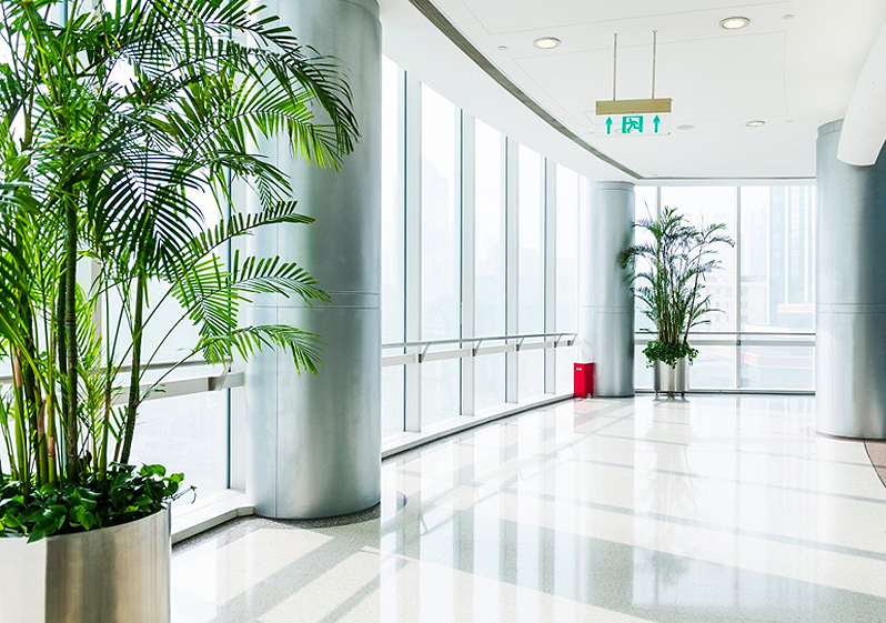 Residential Cleaning in London