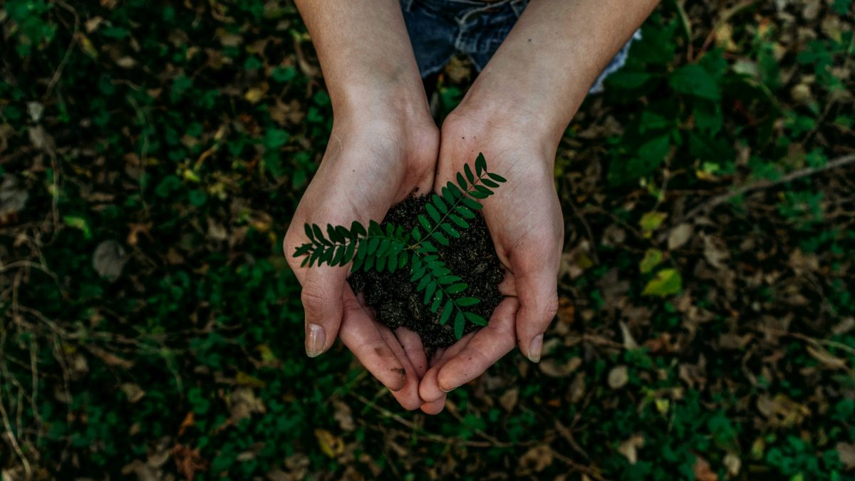 green cleaning company
